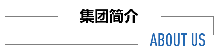集團(tuán)簡(jiǎn)介